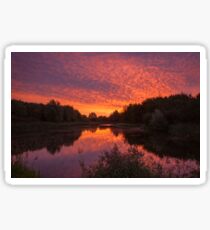 Sunrise over the Water's Edge Sticker
