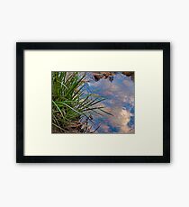 A Natural Juxtaposition Framed Print