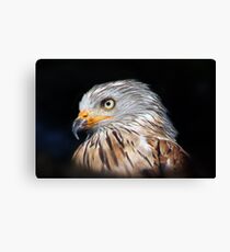 'kite in close up' Canvas Print