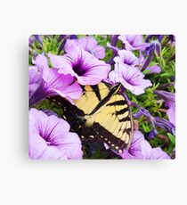 Eastern Tiger Swallowtail Butterfly (Open Wings) Canvas Print