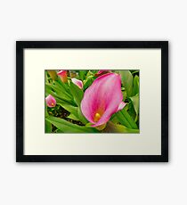 Pink Fluted Flower on Green Background Framed Print