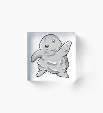 Adipose Acrylic Block