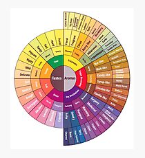 Coffee Flavor Wheel Photographic Print