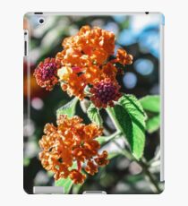 Orange blume iPad Case/Skin