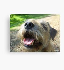 Butch Metal Print