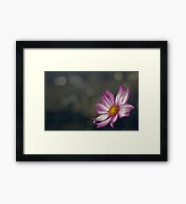 Pink flower Framed Print