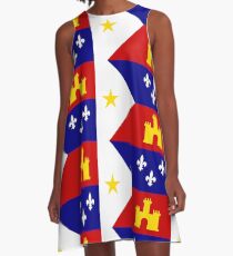 Flag of Acadiana A-Line Dress