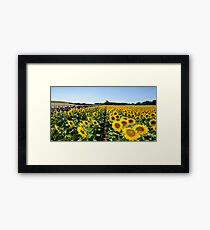Sunflowers Framed Print