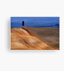 Golden border Canvas Print