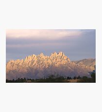 Organ Mountians Photographic Print