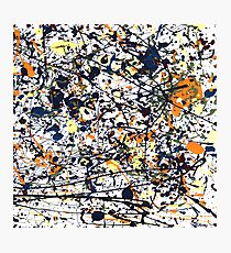 Mijumi Pollock Impression photo
