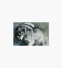 The Winter Wolf Art Board