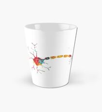 Taza cónica Anatomía de una neurona humana típica