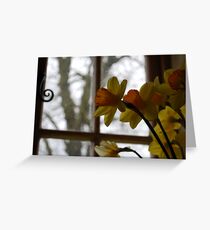 Gazing Greeting Card