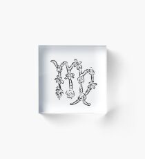 viciously virgo Acrylic Block