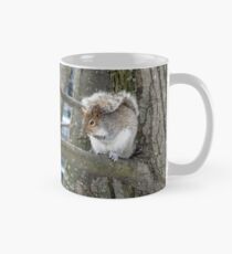 Écureuil Mug