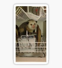 Dishwasher Possum Sticker
