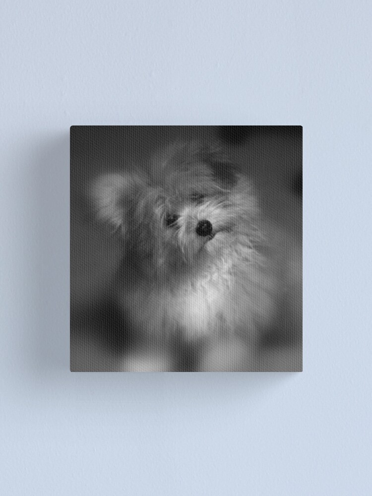Alternate view of I Love You Canvas Print