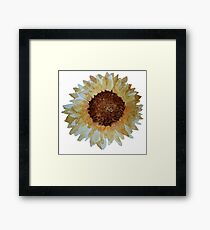 Vintage Sunflower Watercolor Framed Print