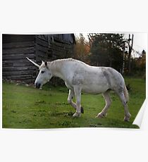 Unicorn Poster