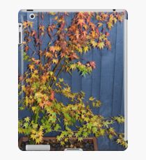 Acer in the back garden iPad Case/Skin