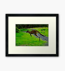 iHop 2.0 Framed Print