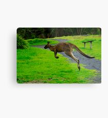 iHop 2.0 Metal Print