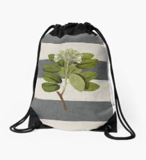 botanical stripes 5 Drawstring Bag