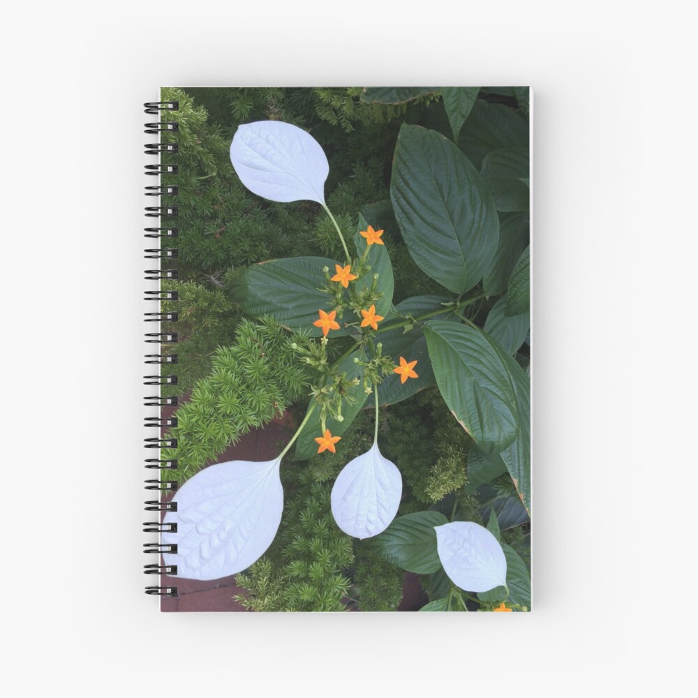 Enid A. Haupt Garden at the Smithsonian Castle Spiral Notebook