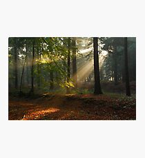 What I am hoping for Photographic Print