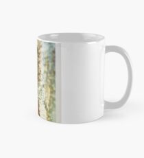 Dissolved: Seahorse Mug