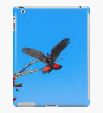 Red Tailed Black Cockatoo iPad Case/Skin