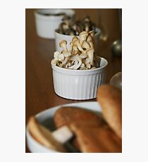 mushrooms_mix Photographic Print