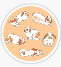 Chestnut Rabbit Sticker