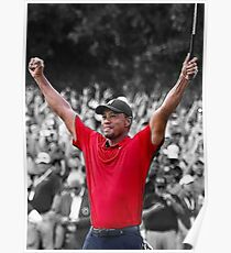 TIGER WOODS Poster