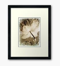 Ty Framed Print