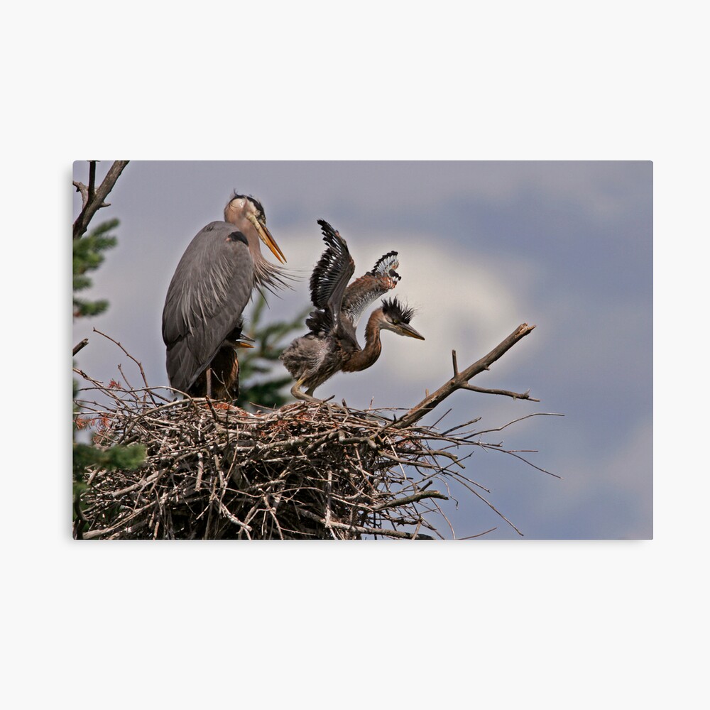 Close to the Edge Canvas Print