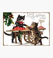Victorian Christmas Cats Photographic Print