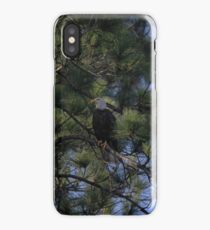 sitting pretty iPhone Case/Skin