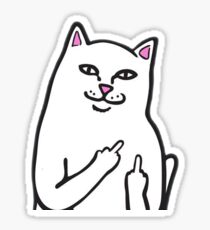 FU Cat Sticker