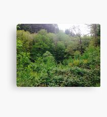 Tree scene Canvas Print