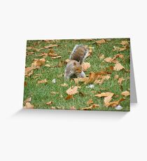YUCK! Greeting Card