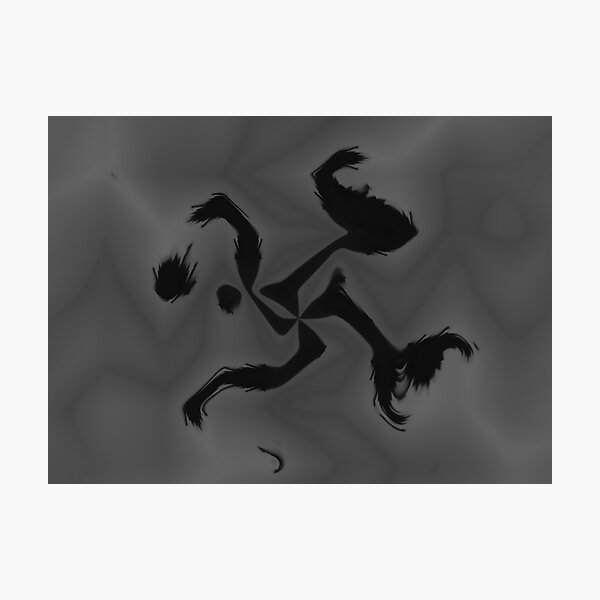 Crow Skin #6 Photographic Print
