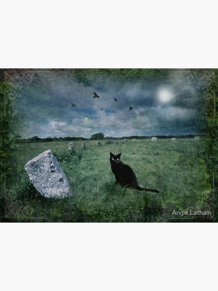 Cornish Black Cat by AngelaBarnett