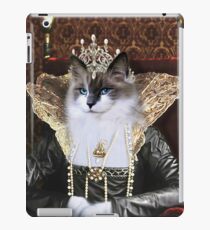 Skyler iPad Case/Skin