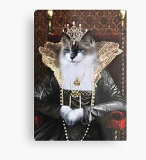 Skyler Metal Print