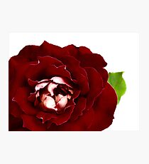 Passionate Photographic Print