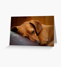 Goodnight Gracie Greeting Card