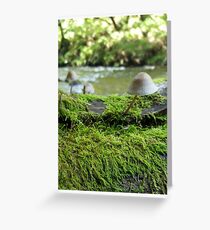 mushroom Greeting Card