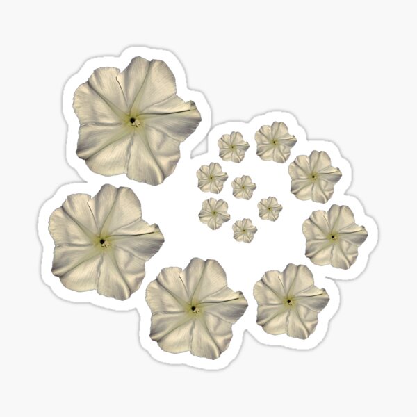 Moonflower Spiral Sticker